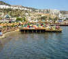 Costa Farilya Deluxe 